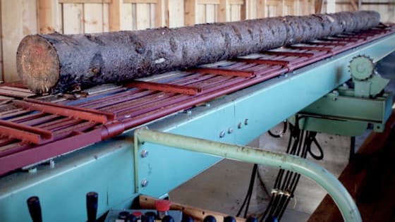 Application in Wood Processing Feed Line Drives