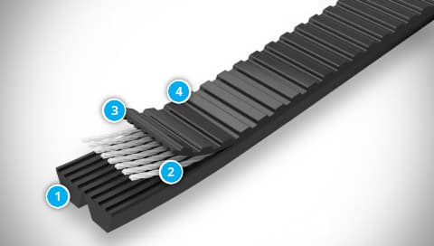 Construction of a two-ridge BANFLEX SCRUM belt