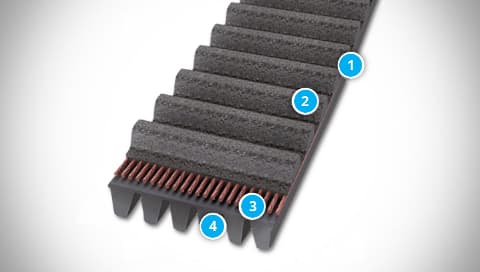 CONTI SYNCHRORIB Belt Structure