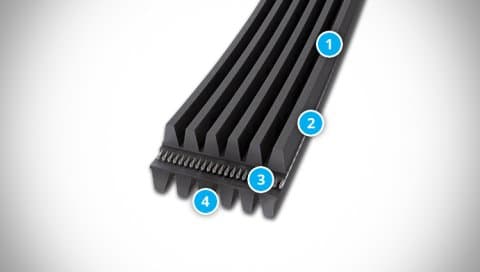 CONTI-V MULTIRIB DUAL Belt Structure