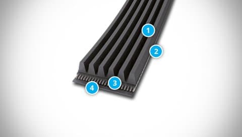 MULTIRIB ELAST and CONVYEXONIC Belt Structure