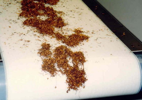 POLIFLEX conveyor belts made of polyethylene in use