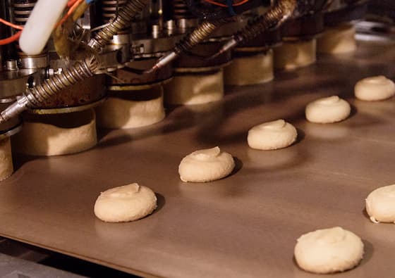 PTFE conveyor belts in use