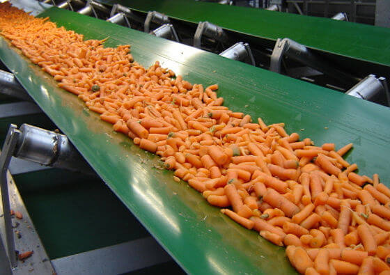 FLEXAM PVC conveyor belts in use